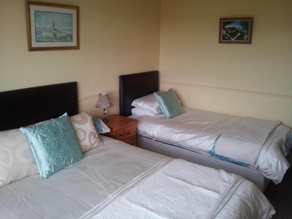 Tir Na Nog B&B Кашел Екстер'єр фото