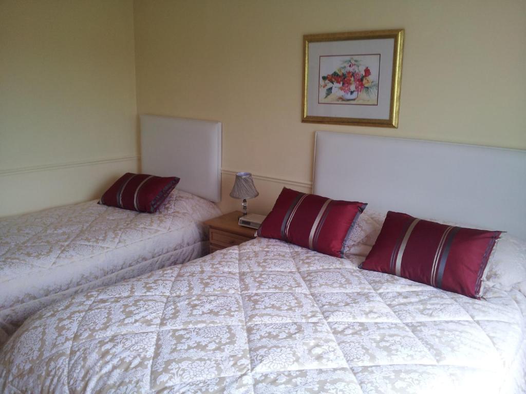Tir Na Nog B&B Кашел Екстер'єр фото